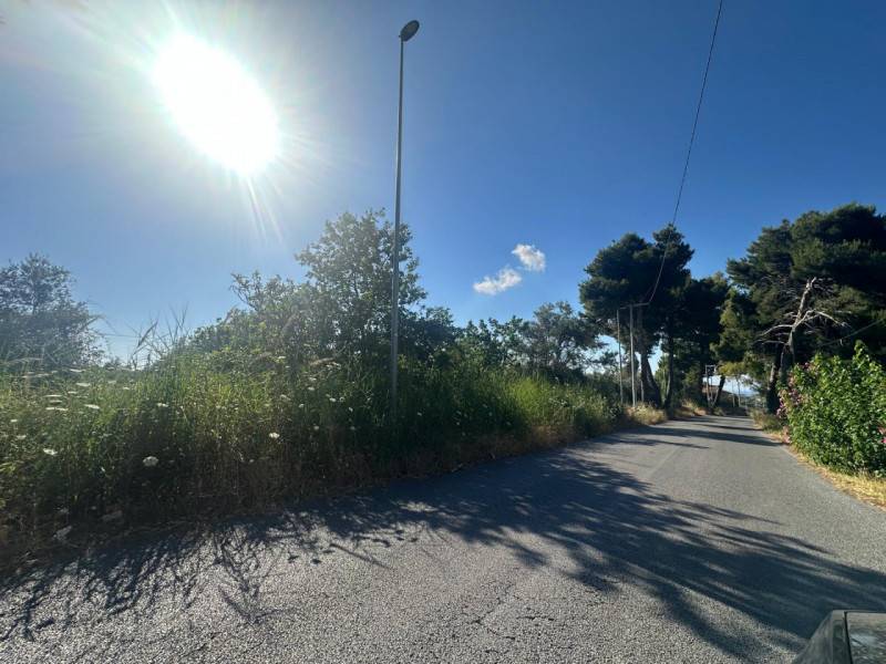 Terreno agricolo Cattafi, San Filippo del Mela