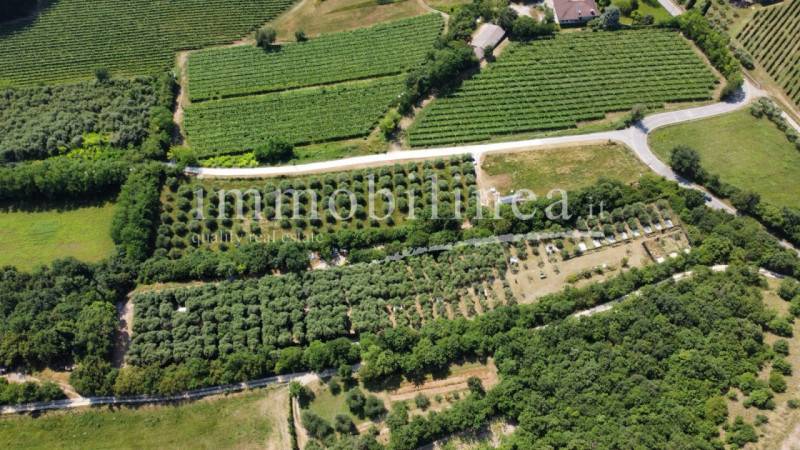 Terreno agricolo Caprino Veronese, Caprino Veronese