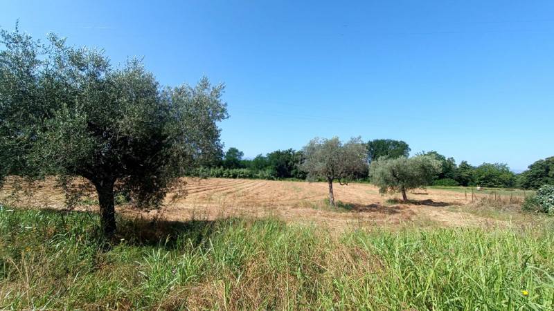 Terreno agricolo Roccasecca, Roccasecca
