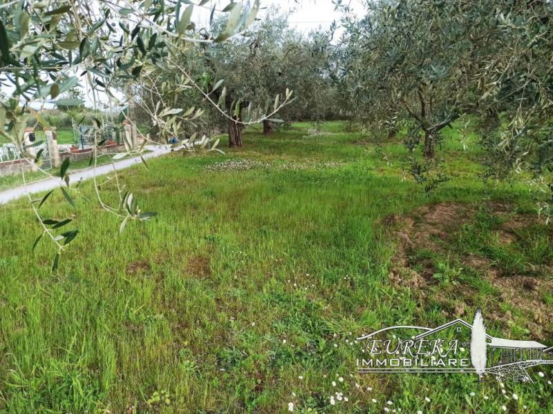 Altro Castiglione del Lago, Castiglione del Lago