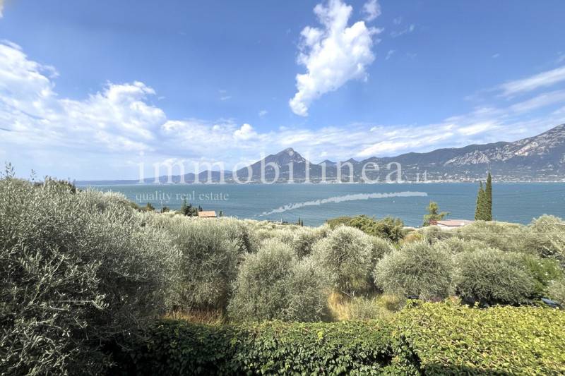 Terreno agricolo Pai, Torri del Benaco