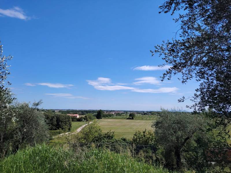  - foto 3