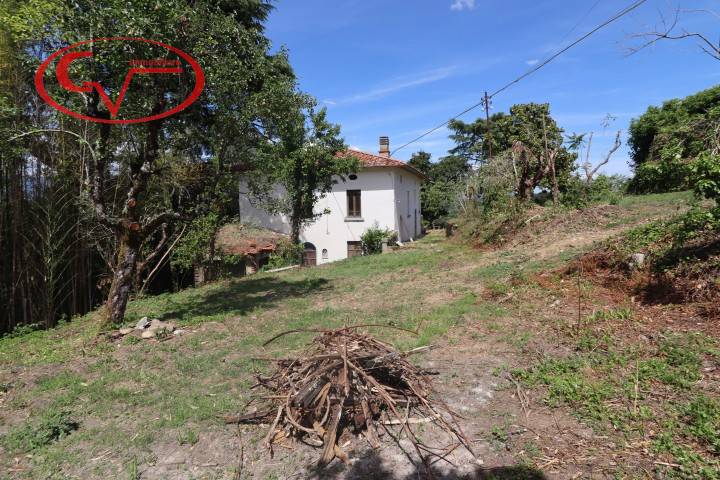Villa Caposelvi, Montevarchi