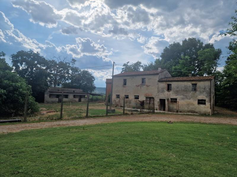 Rustico Lucignano, Lucignano