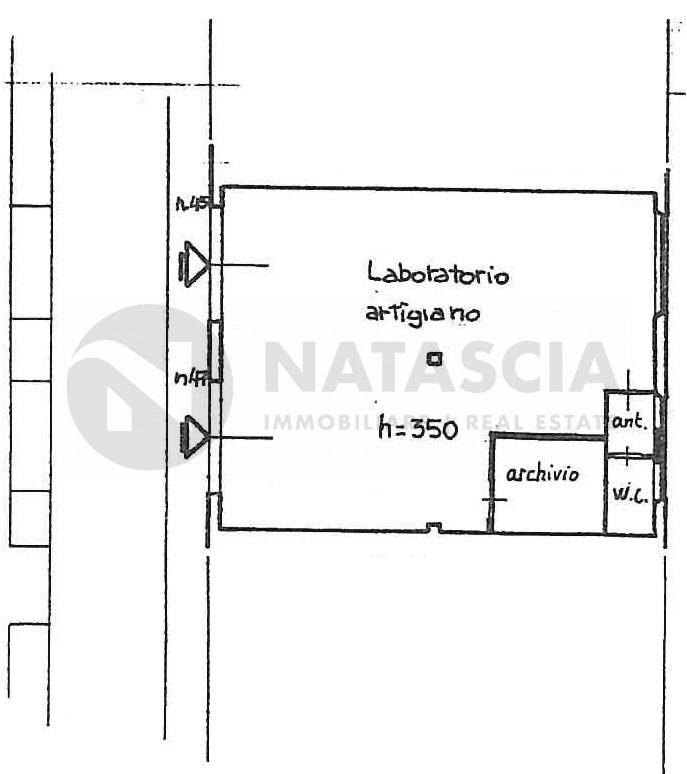 Laboratorio San Francesco, Pelago