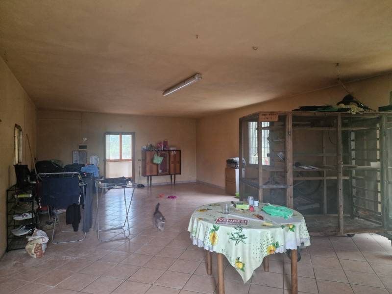 Attività  commerciale Lucignano, Lucignano