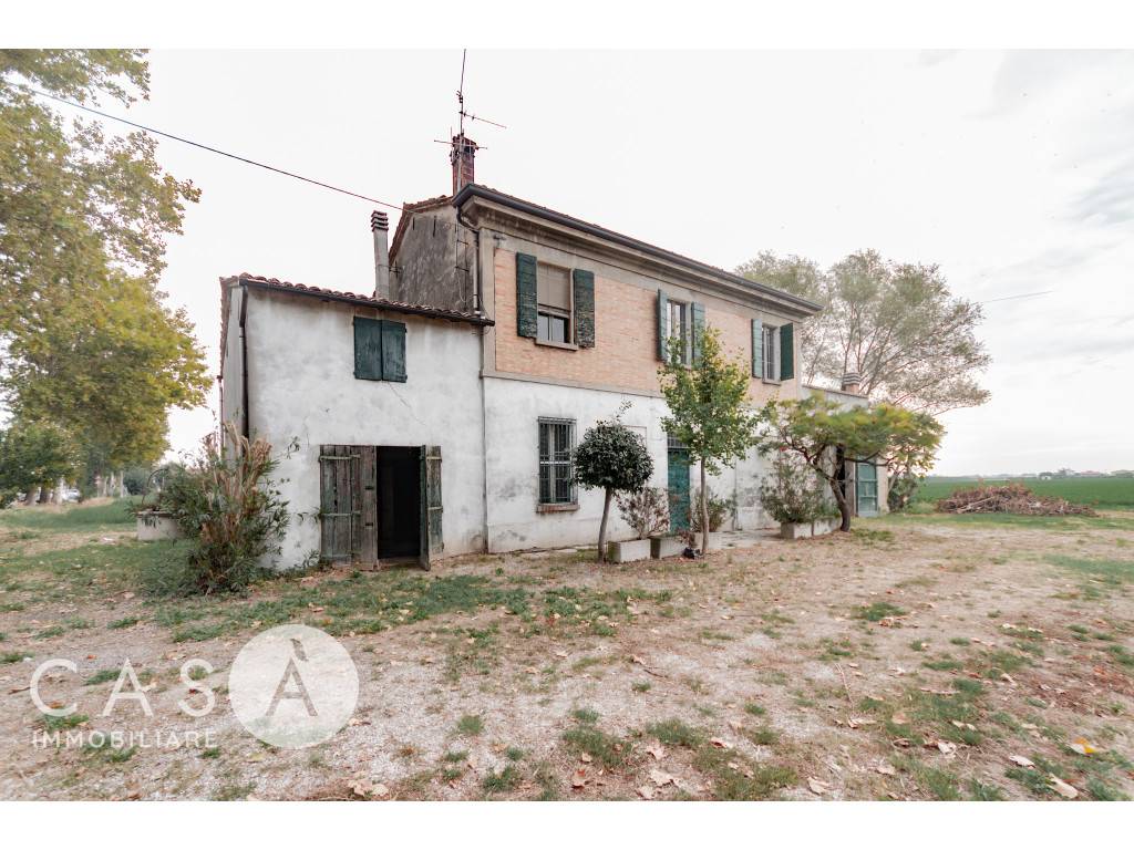 Rustico, Forlì