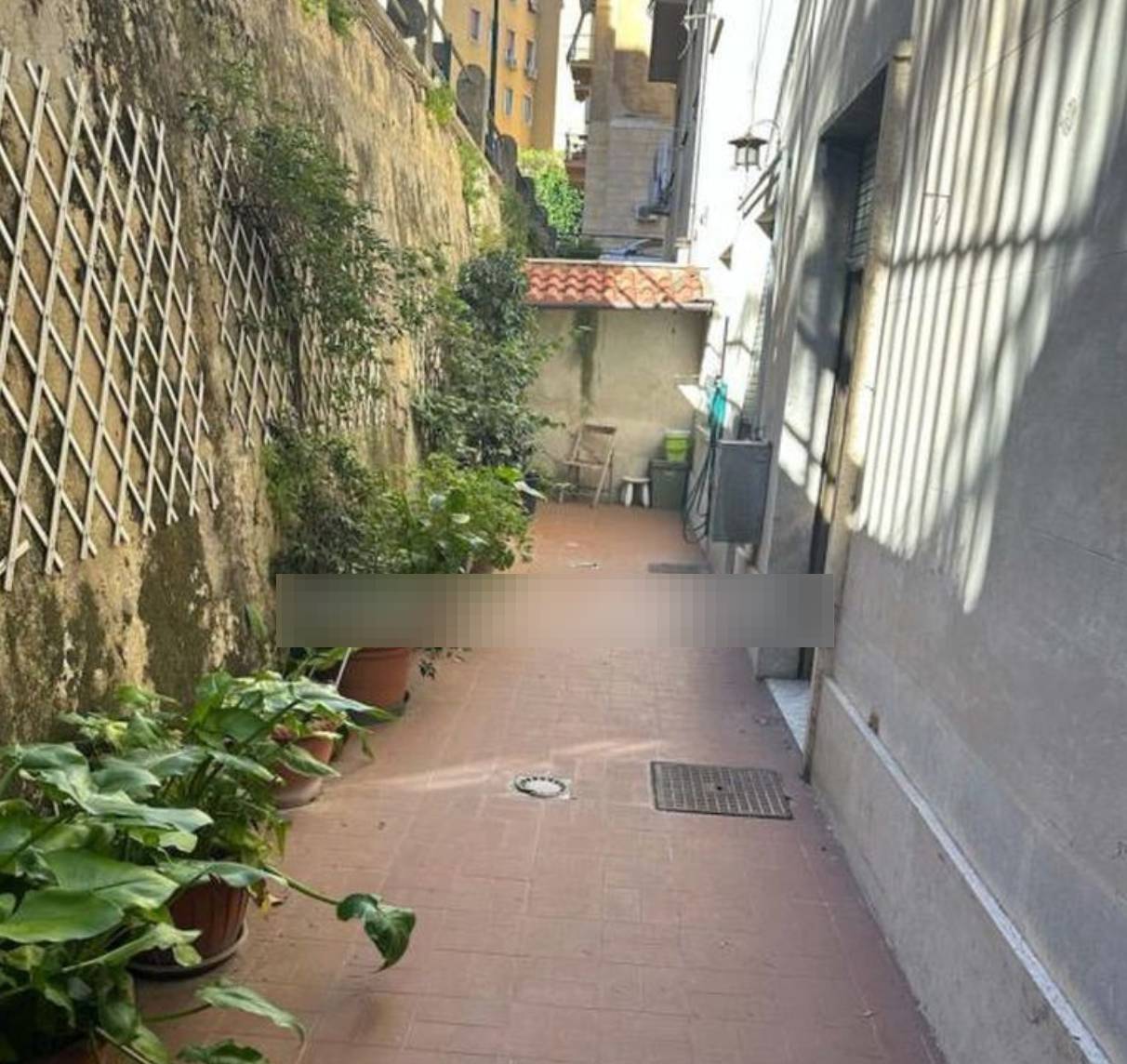  - foto 6