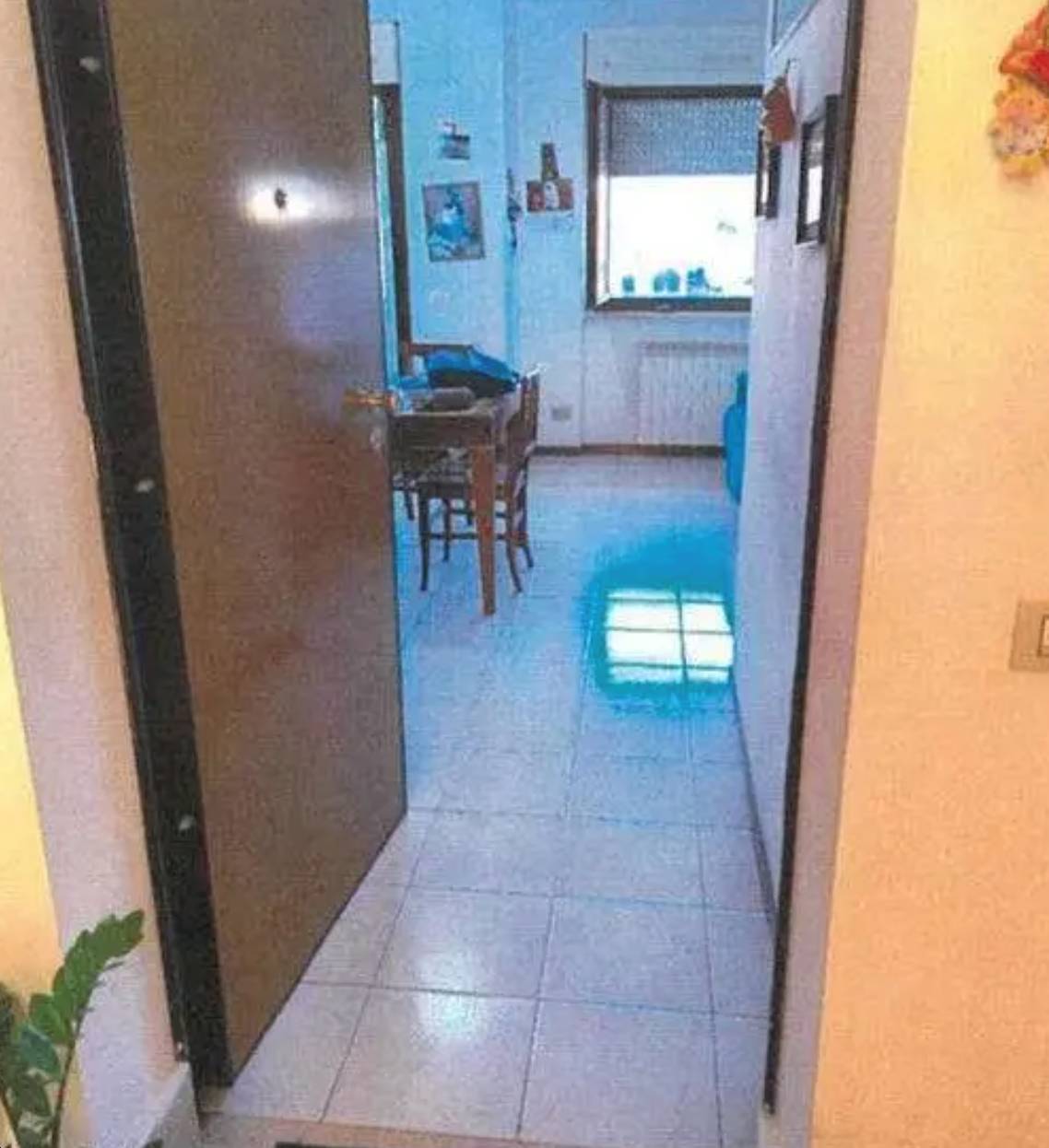  - foto 3