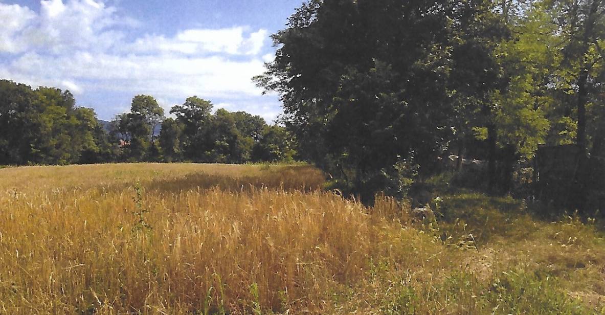 Terreno agricolo, Nibionno