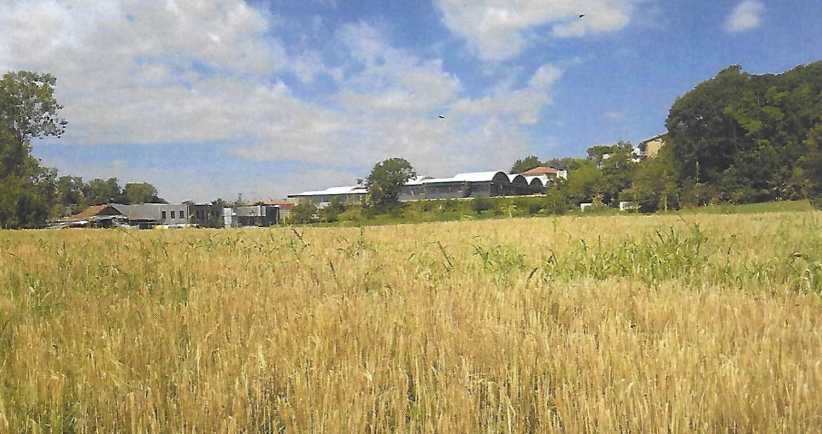  - foto 2