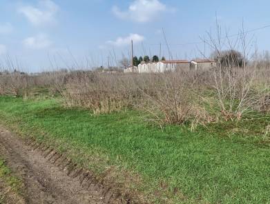 Terreno agricolo Pontepassero, Sorgà
