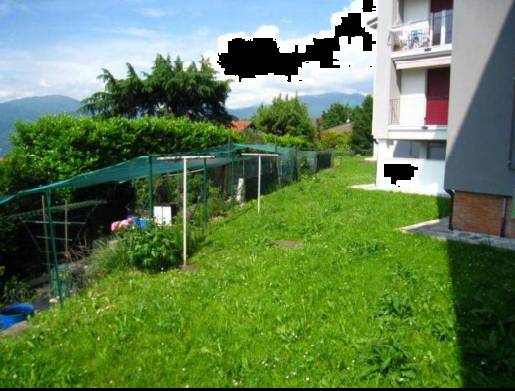  - foto 7