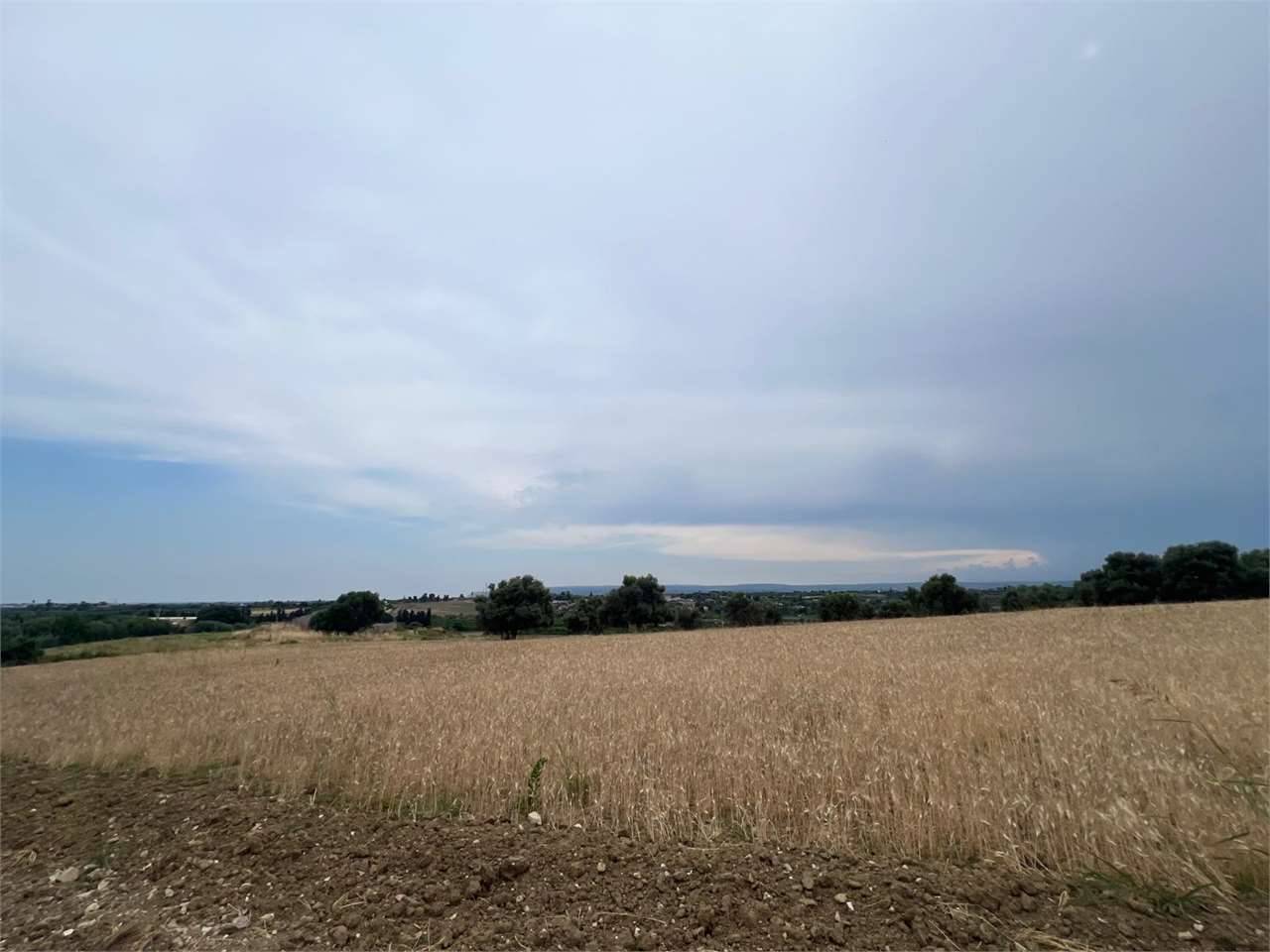  - foto 6