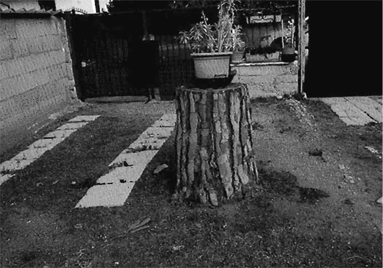  - foto 7