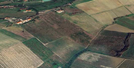Terreno agricolo, Imola