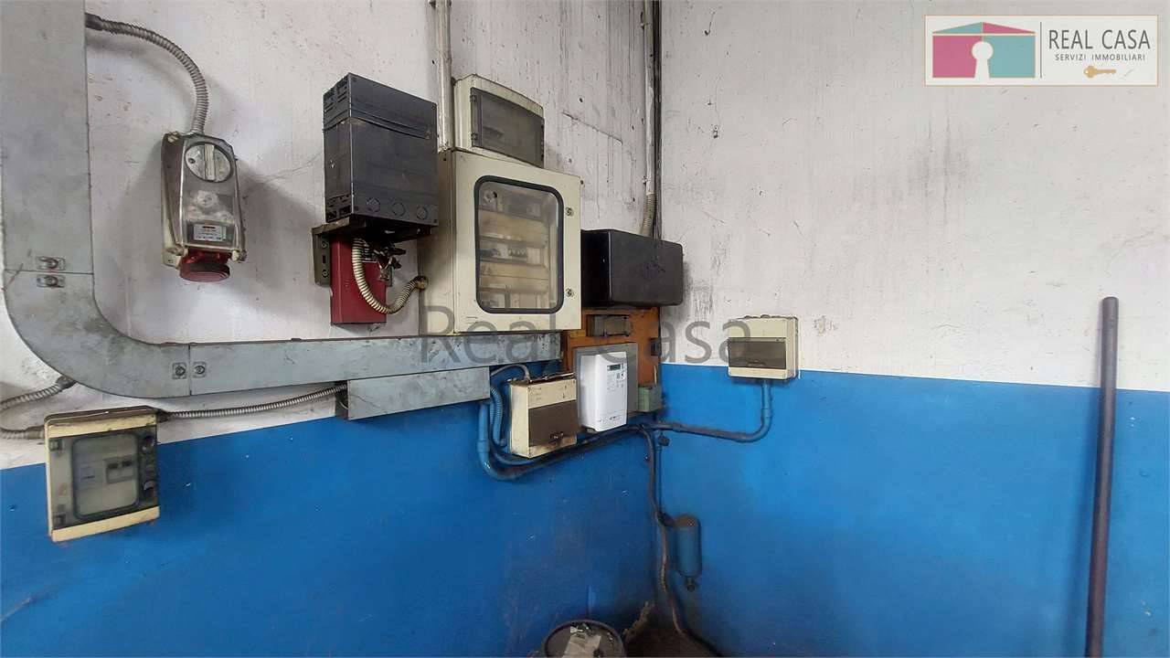  - foto 6