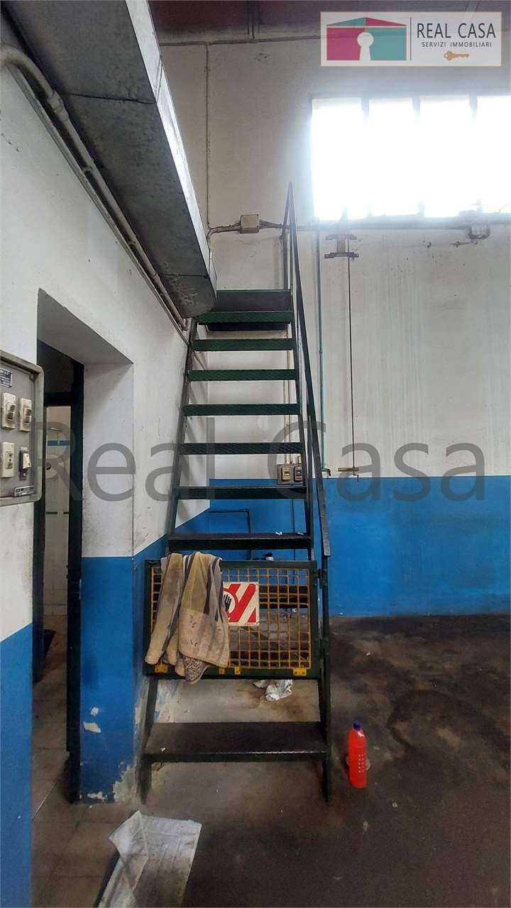  - foto 7