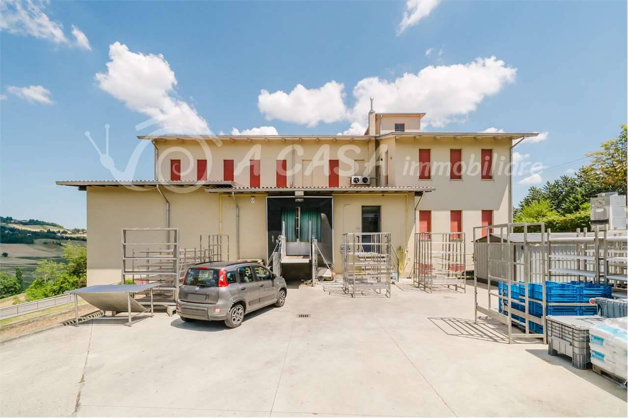 Capannone Lupazzano, Neviano degli Arduini