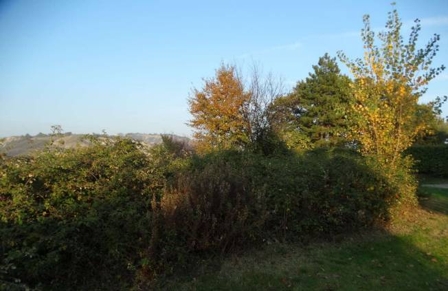Terreno agricolo, Imola