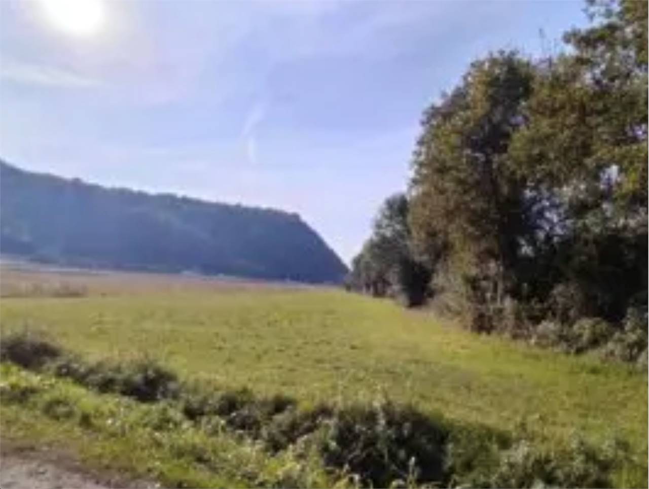 Terreno agricolo, Trissino