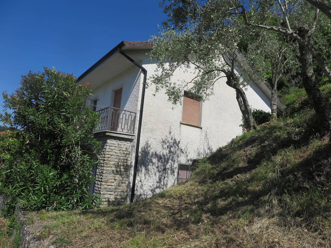  - foto 3