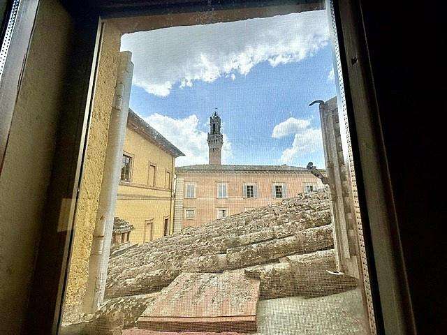  - foto 20