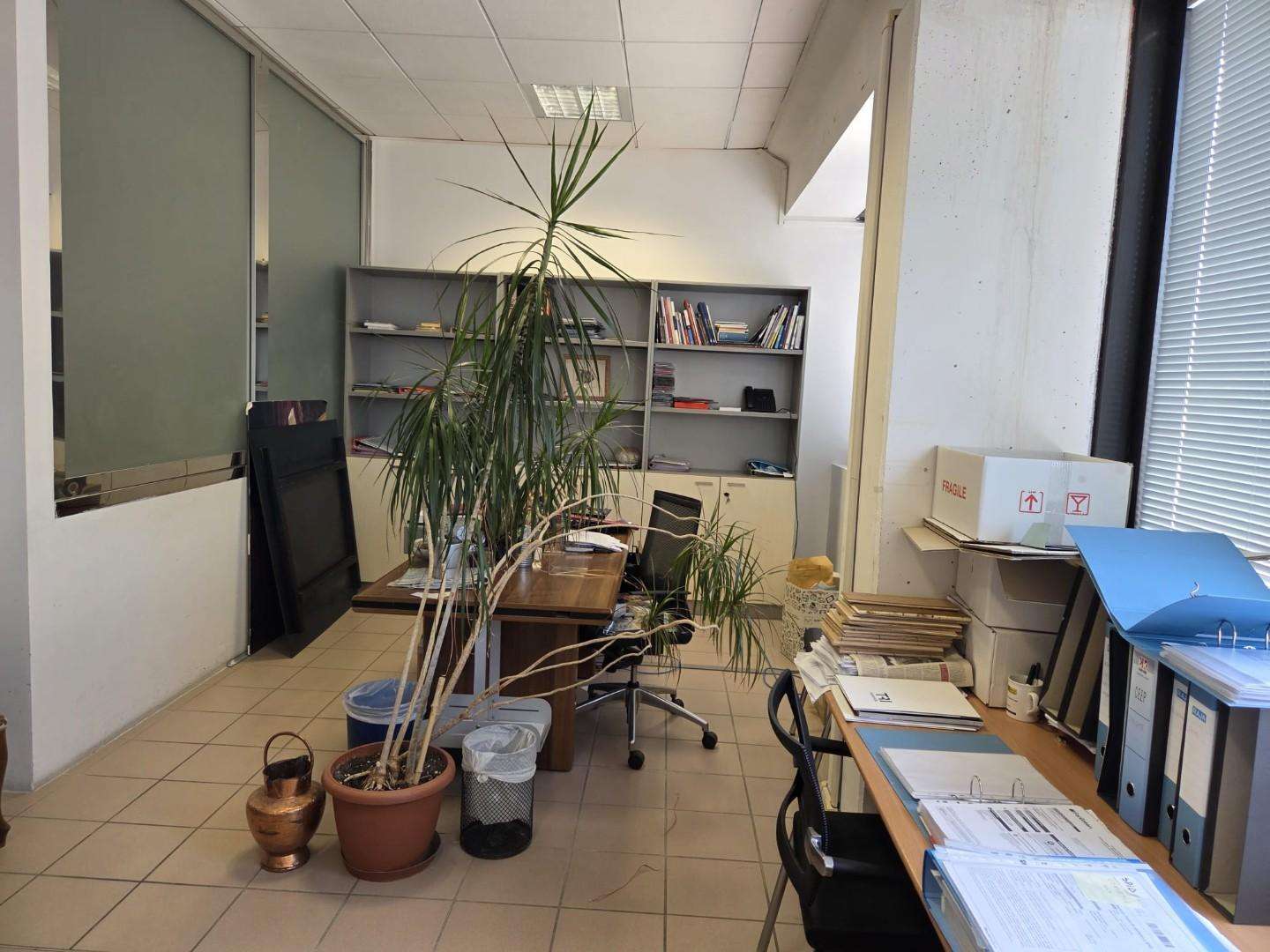  - foto 5