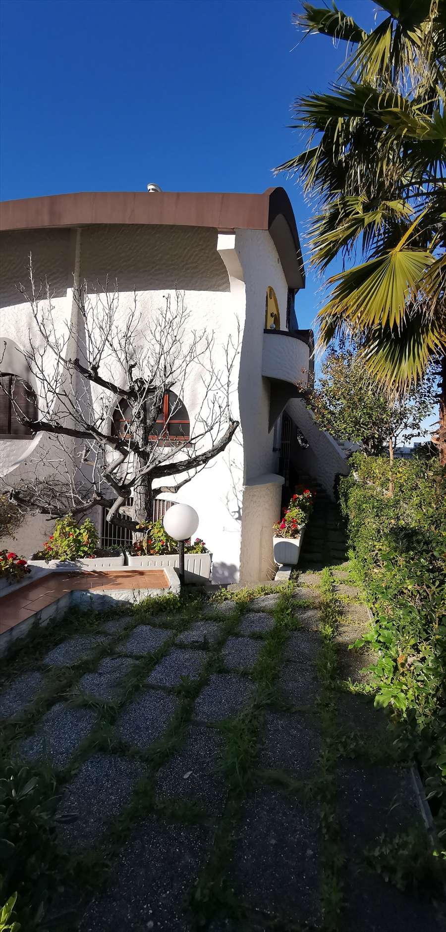  - foto 4