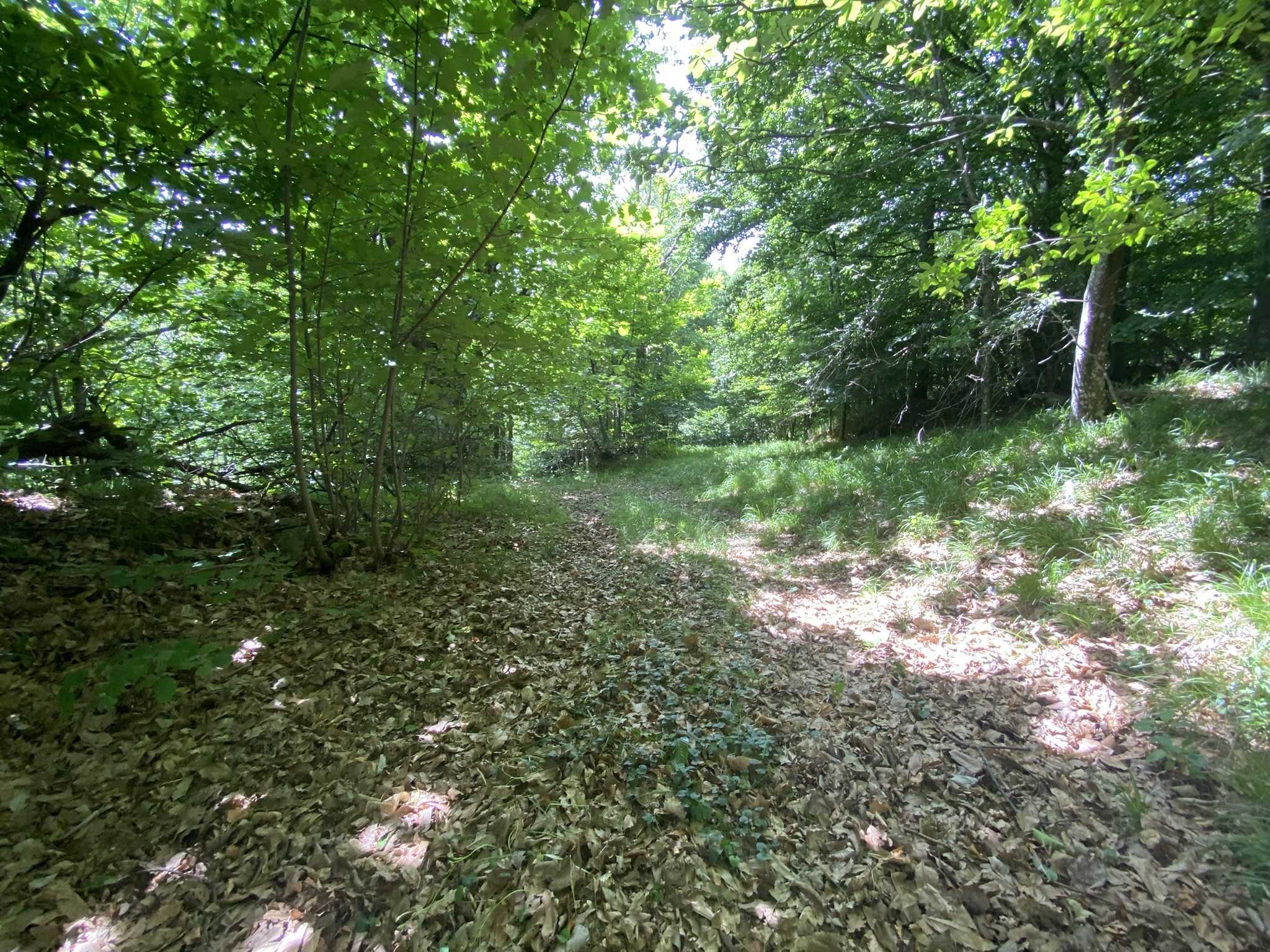  - foto 20