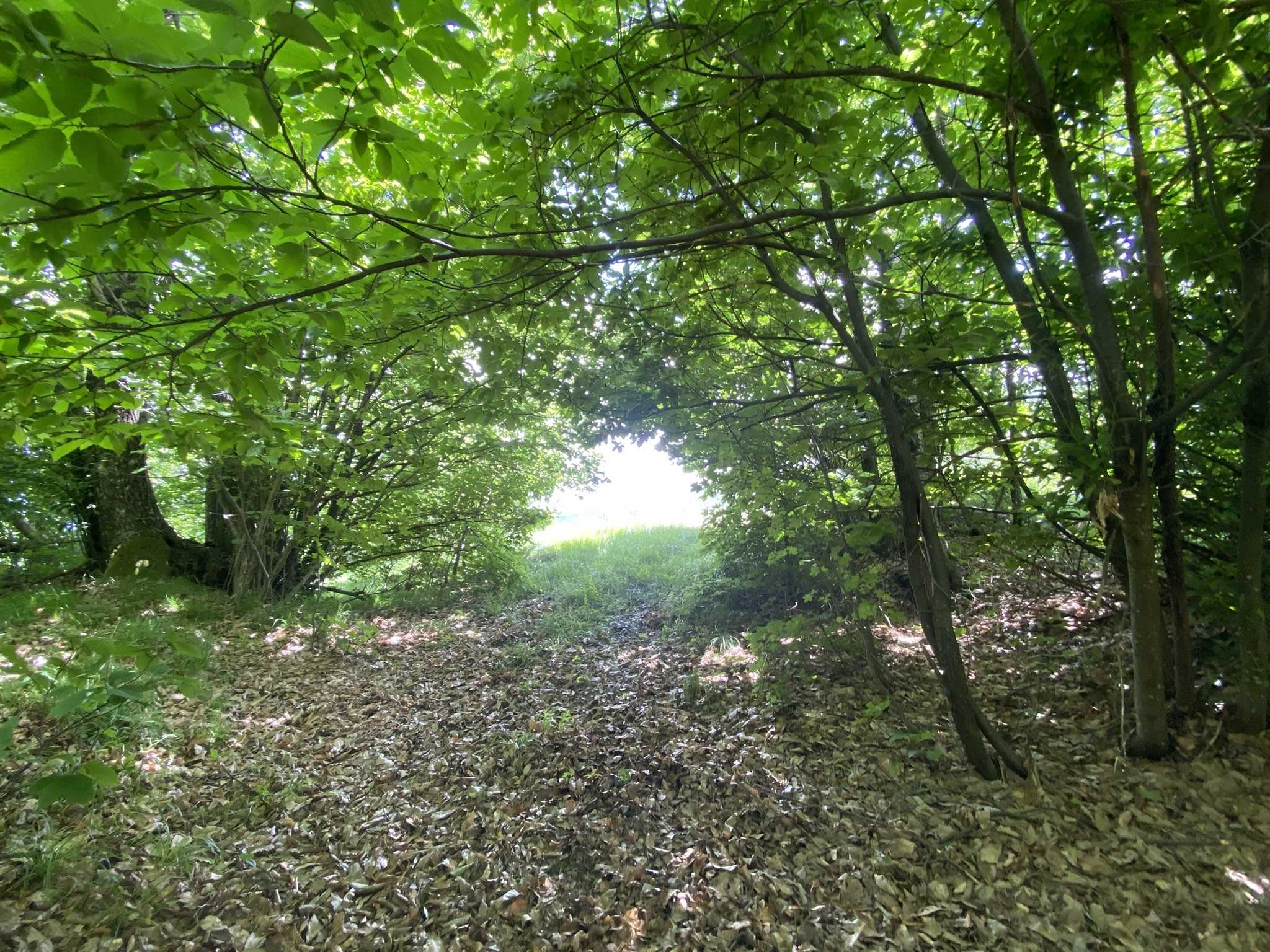  - foto 21