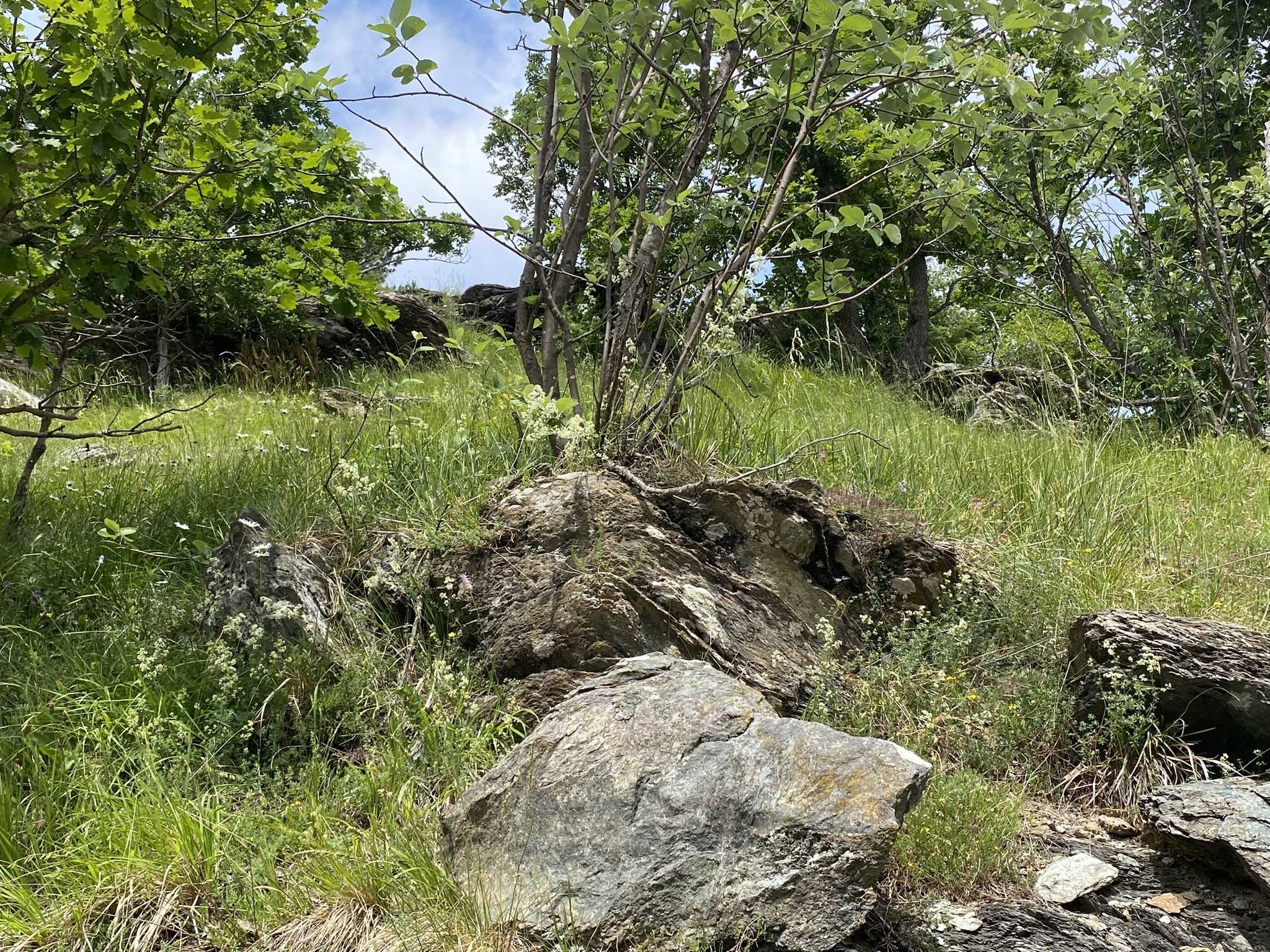 - foto 23