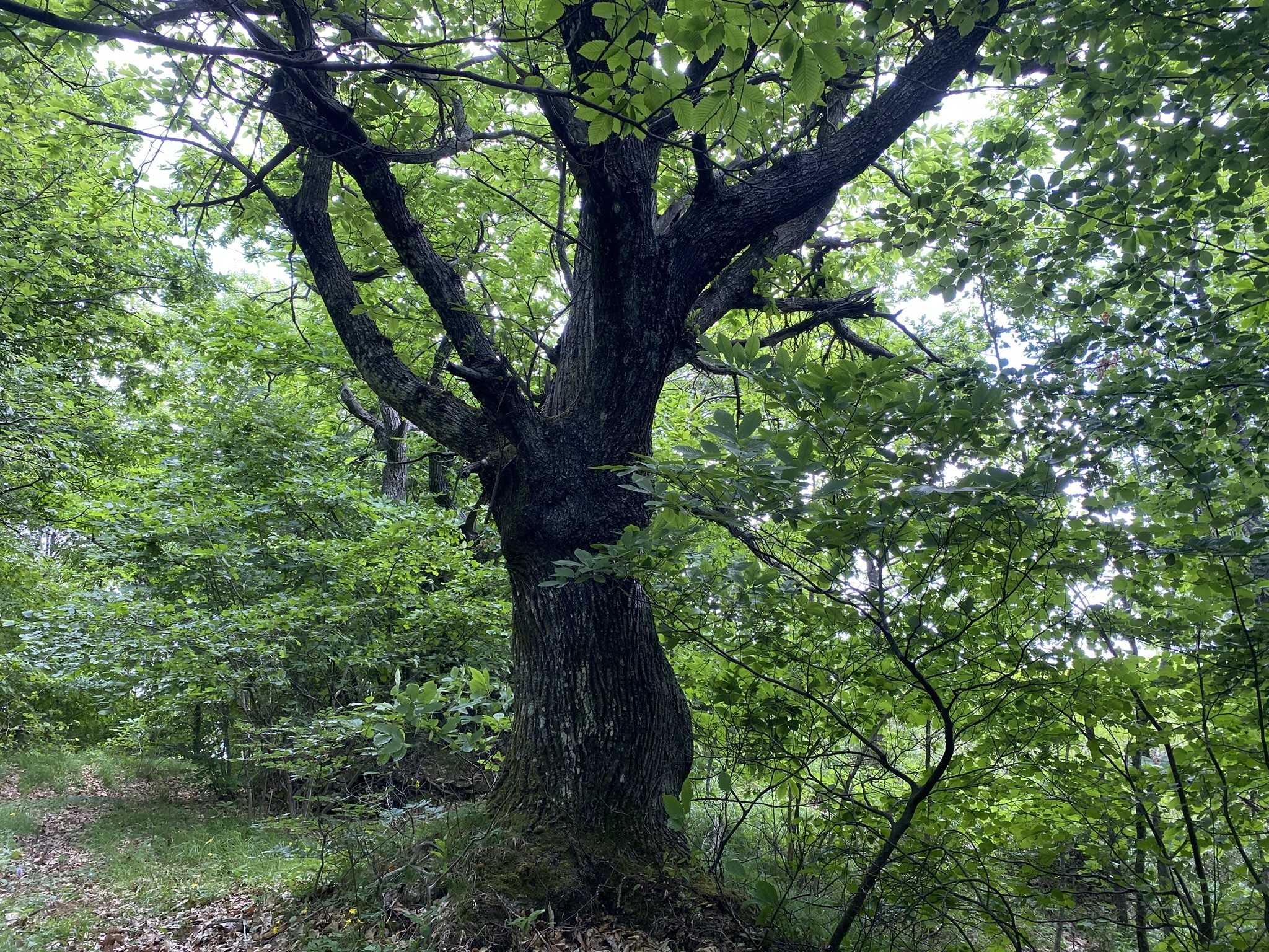  - foto 24