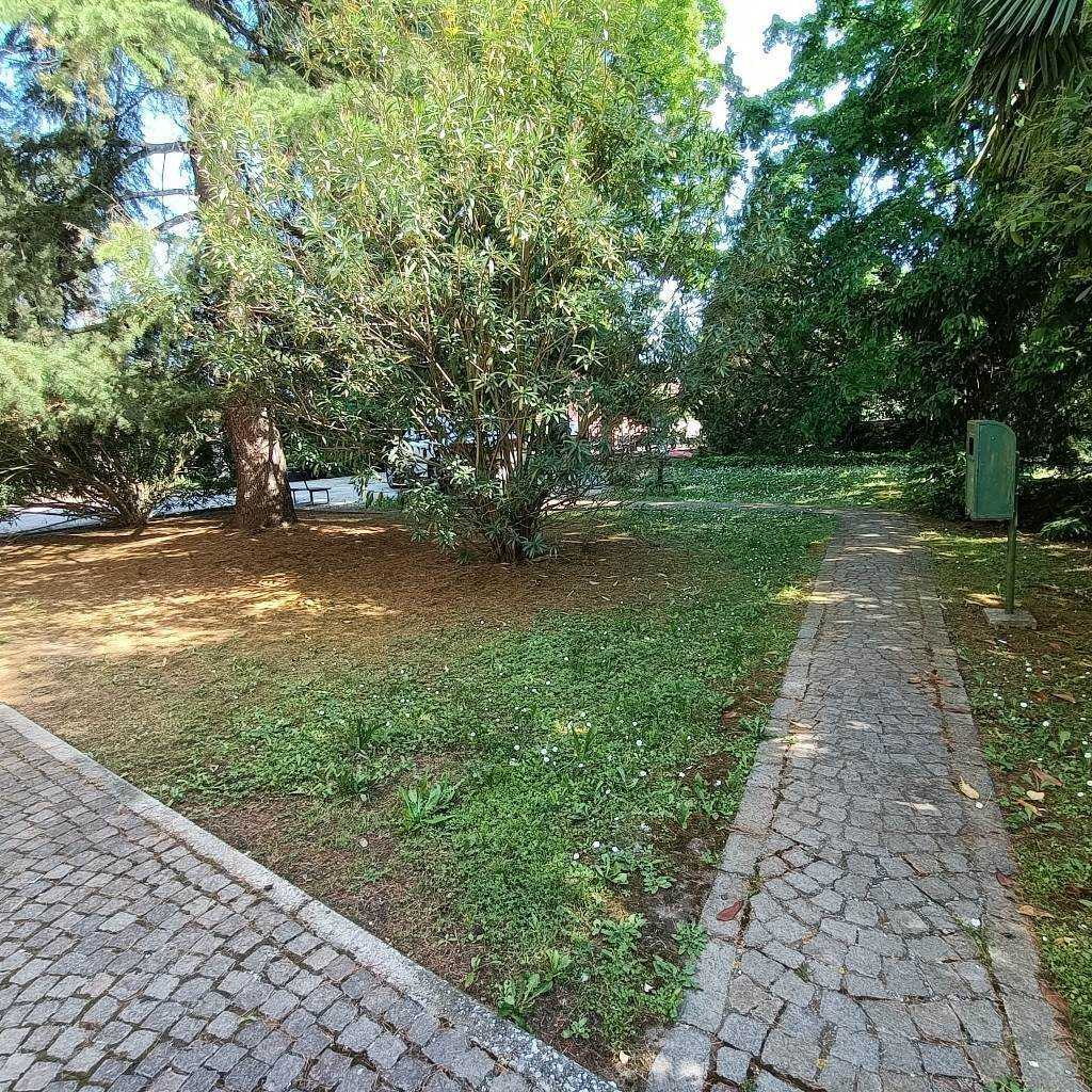  - foto 7