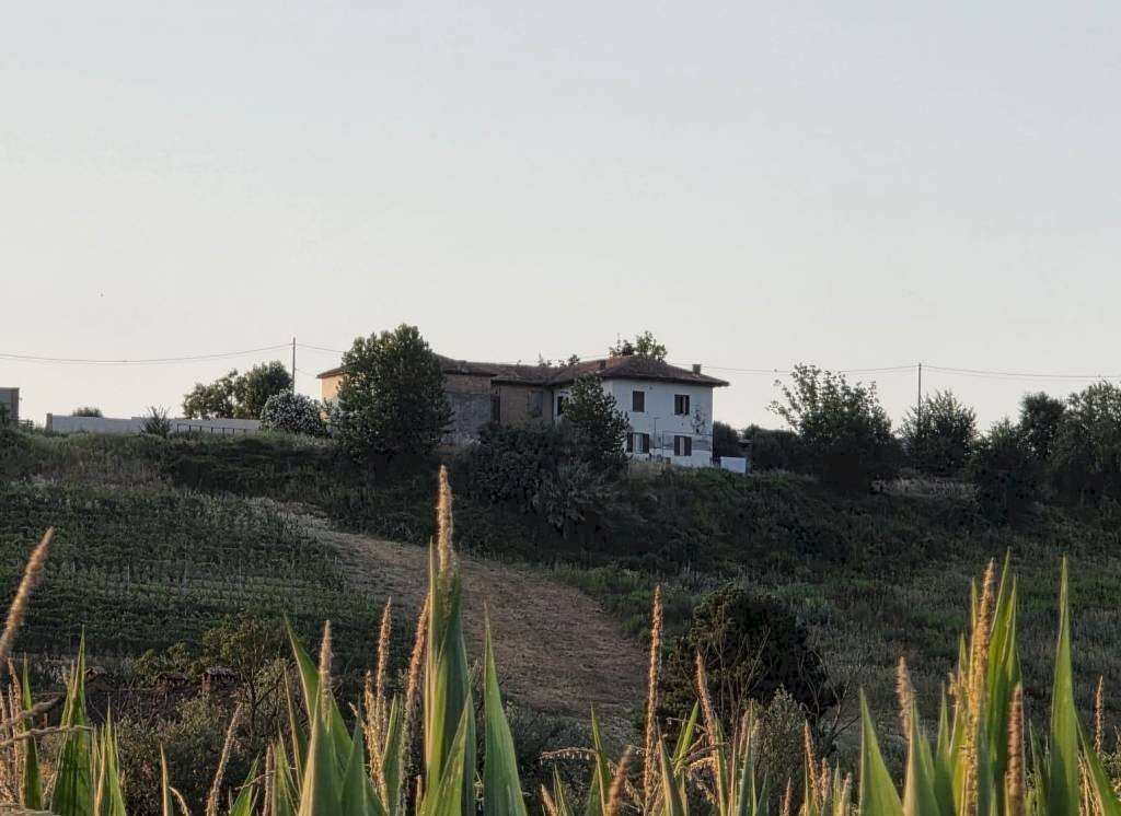  - foto 15