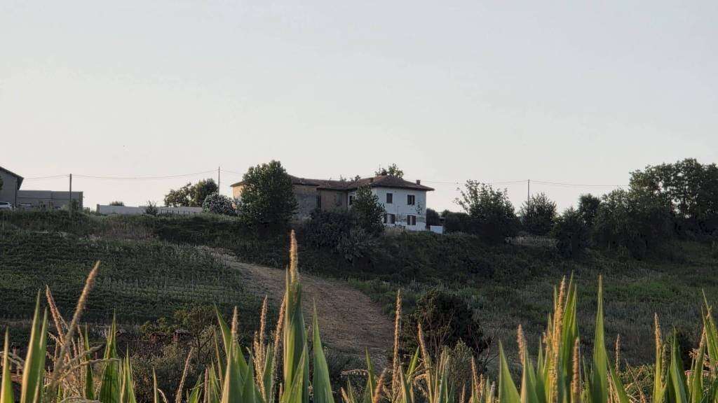  - foto 16