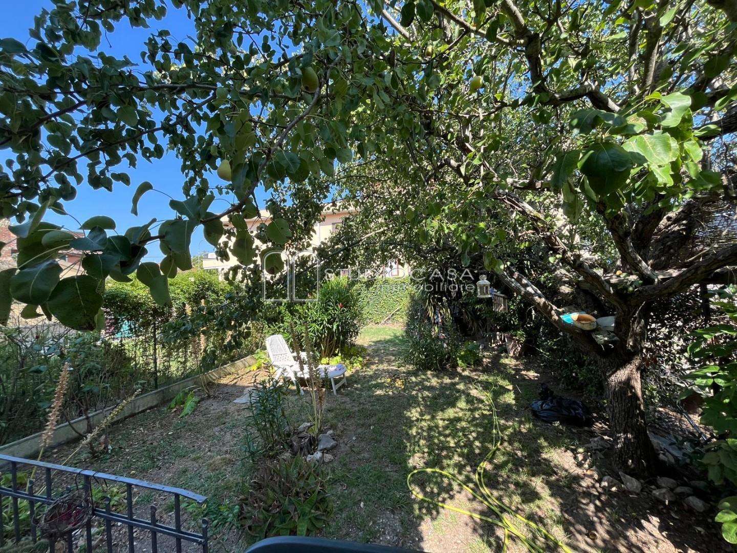 - foto 19
