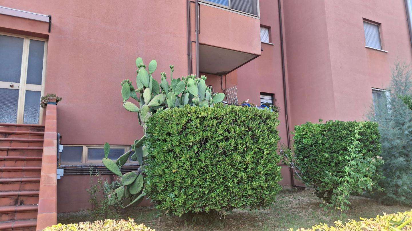  - foto 10