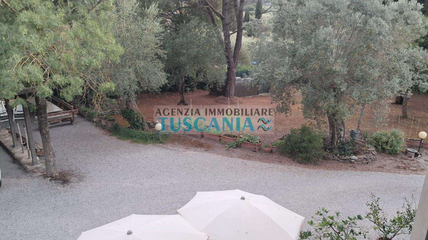  - foto 36