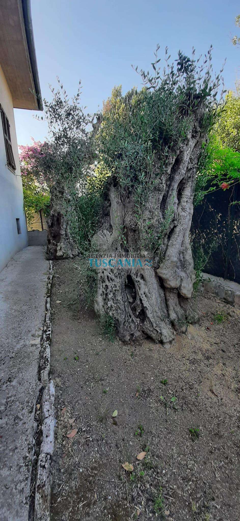  - foto 42