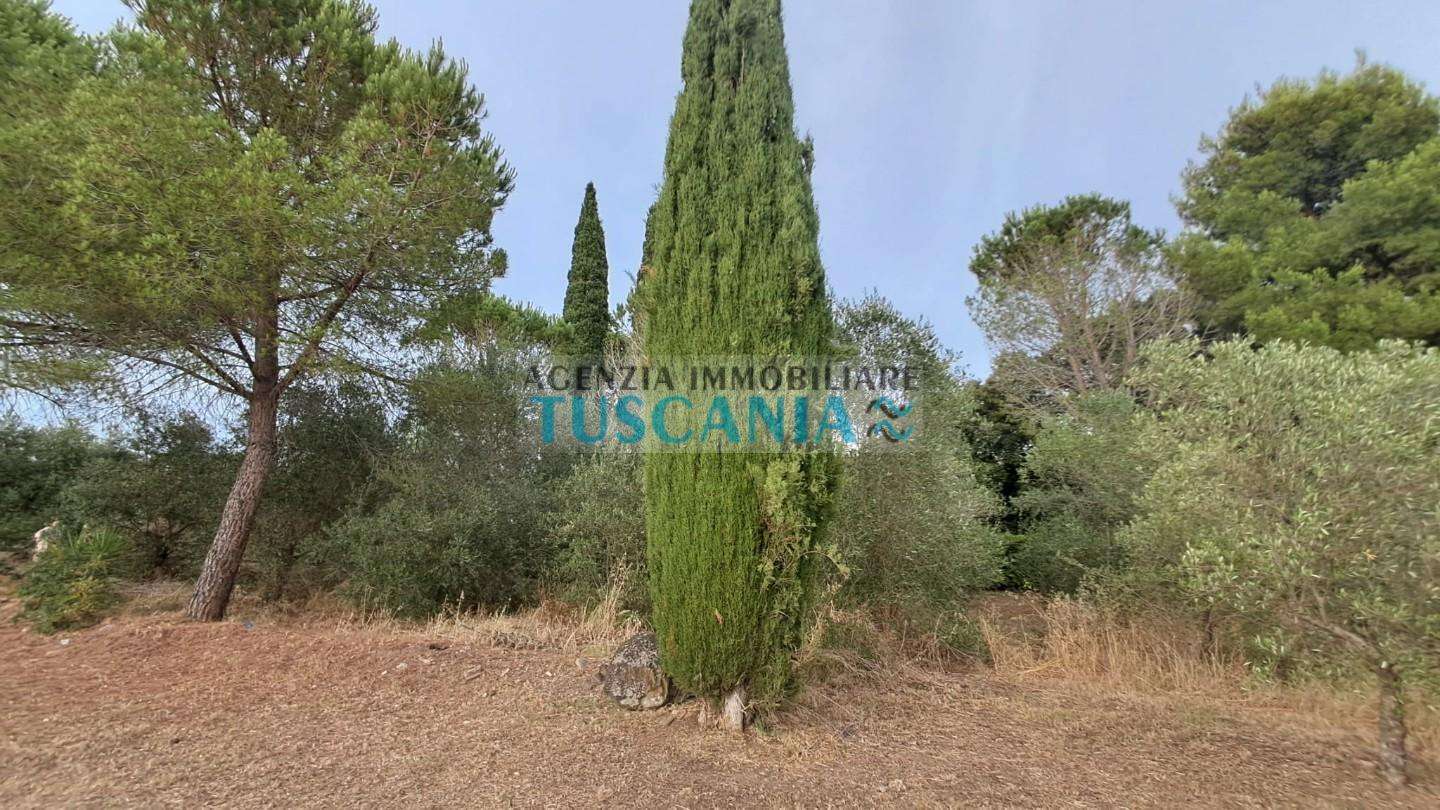  - foto 46