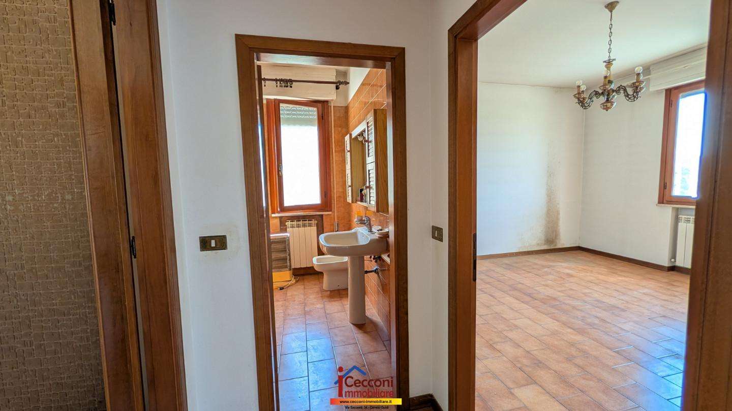  - foto 13
