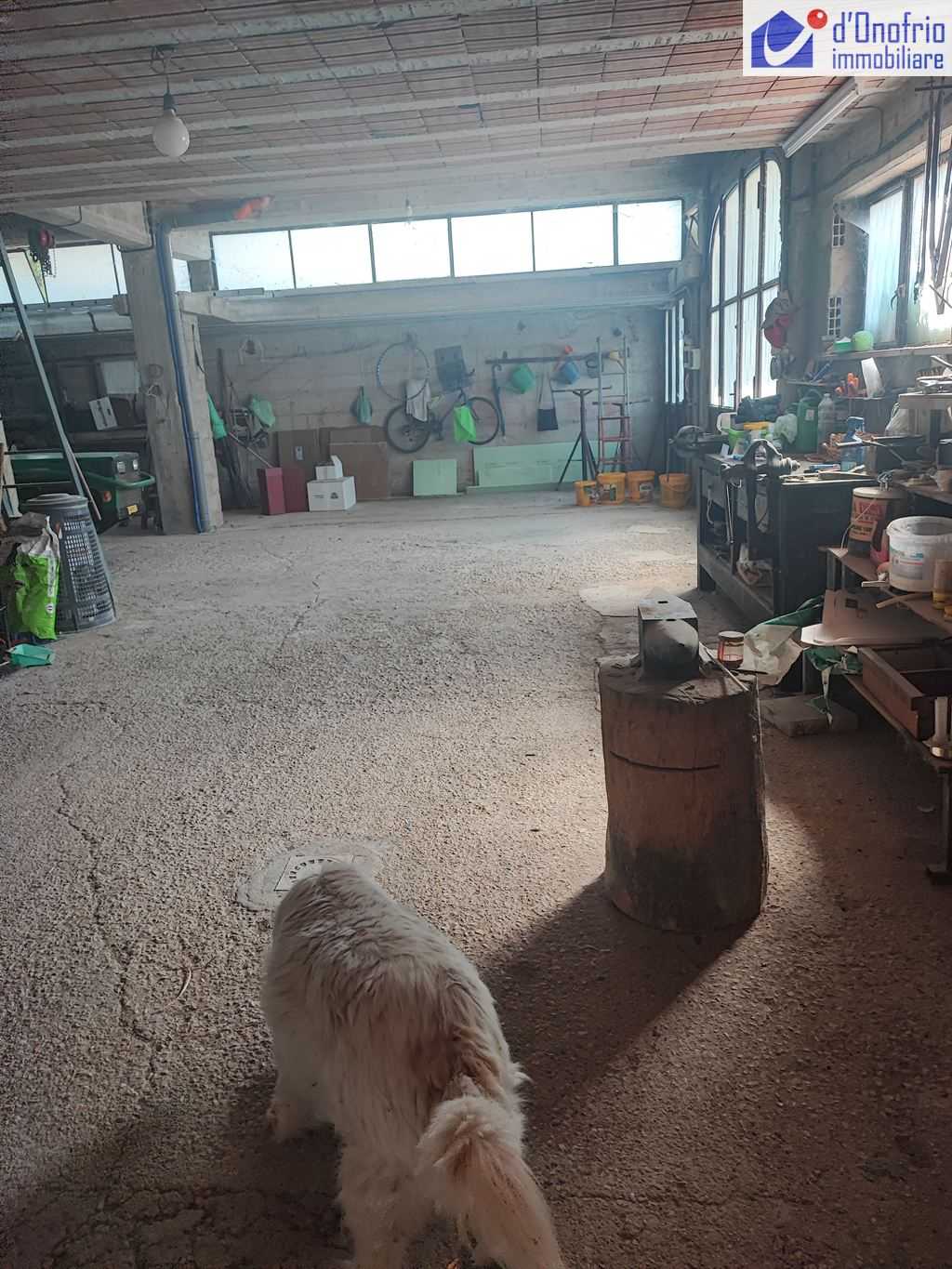  - foto 18