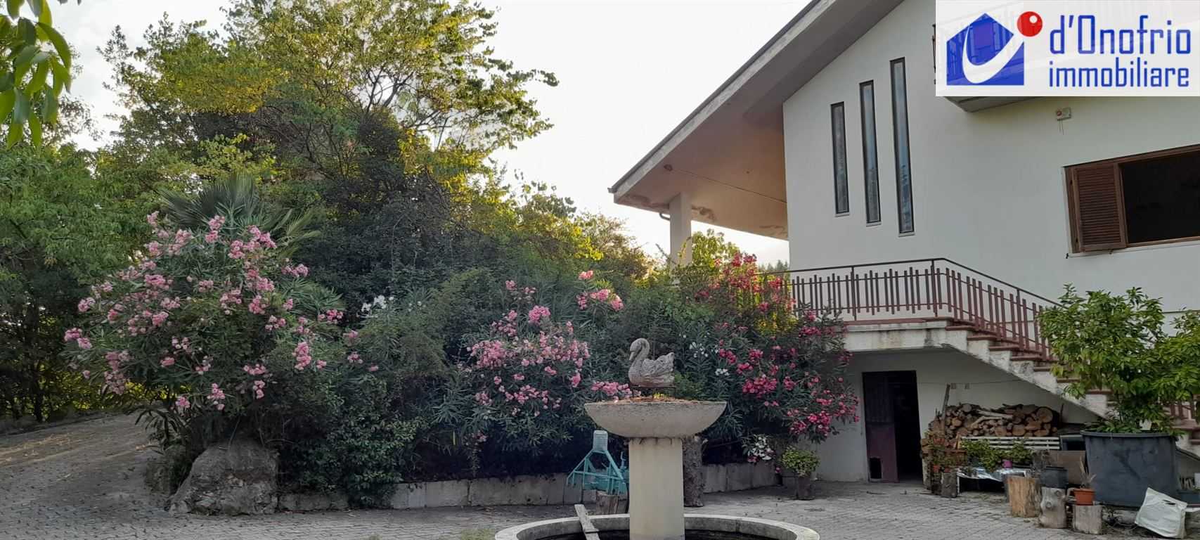  - foto 2