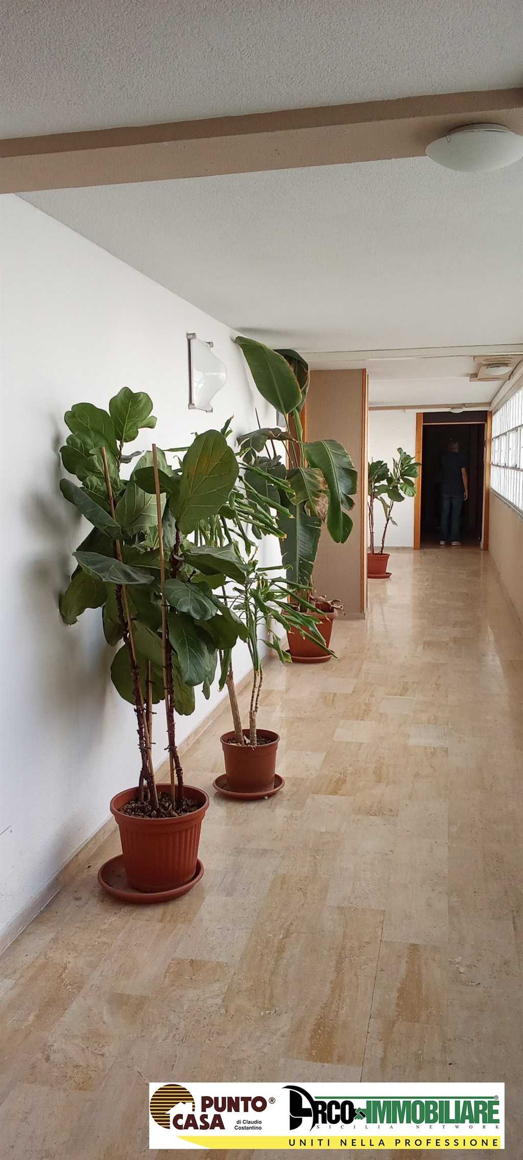  - foto 20