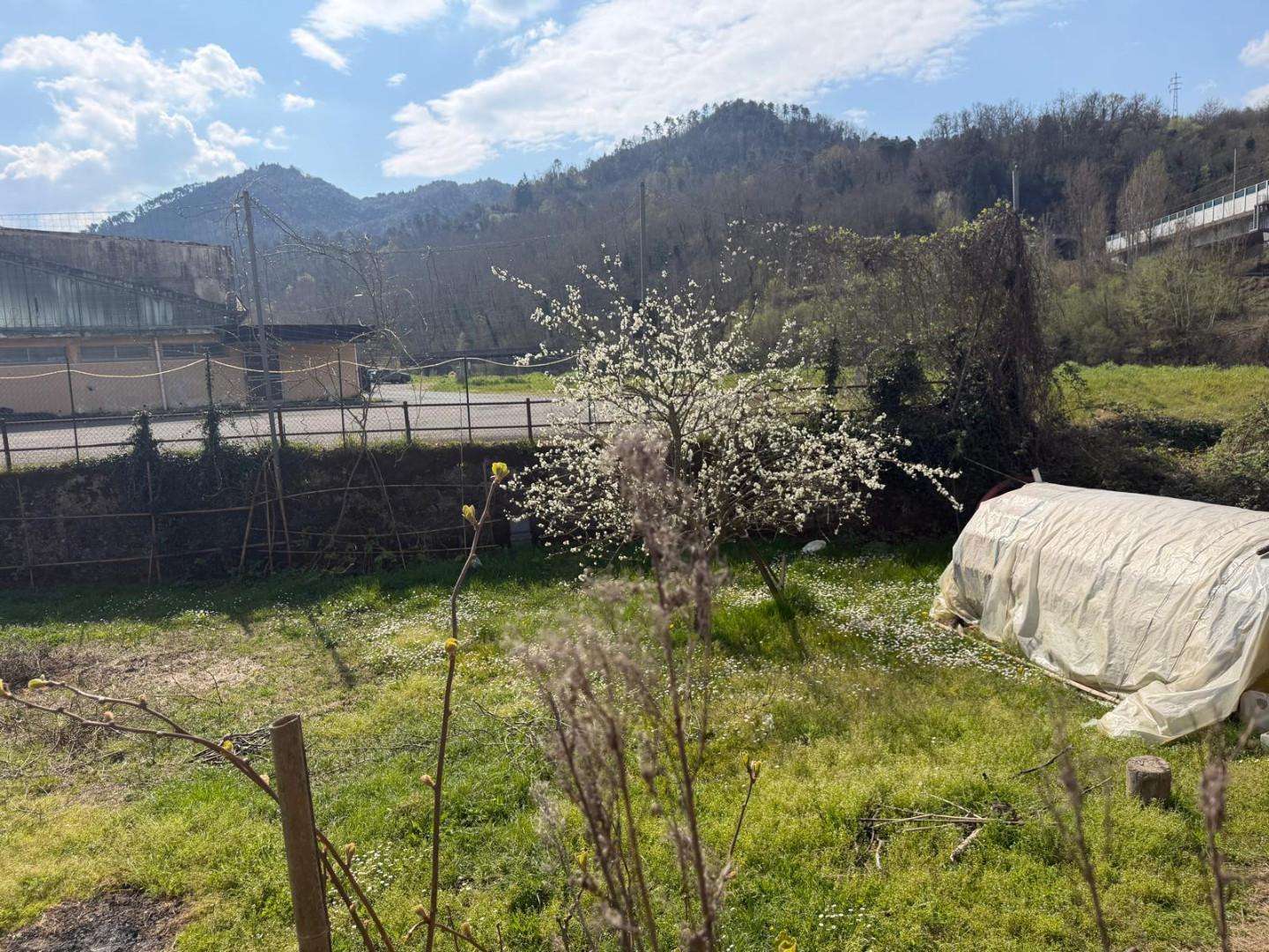  - foto 16