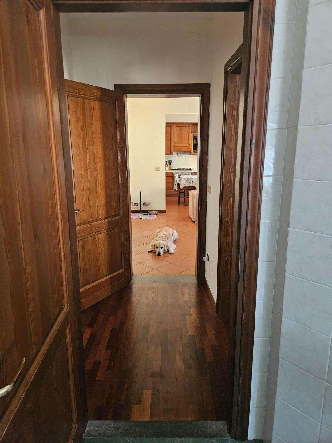  - foto 14