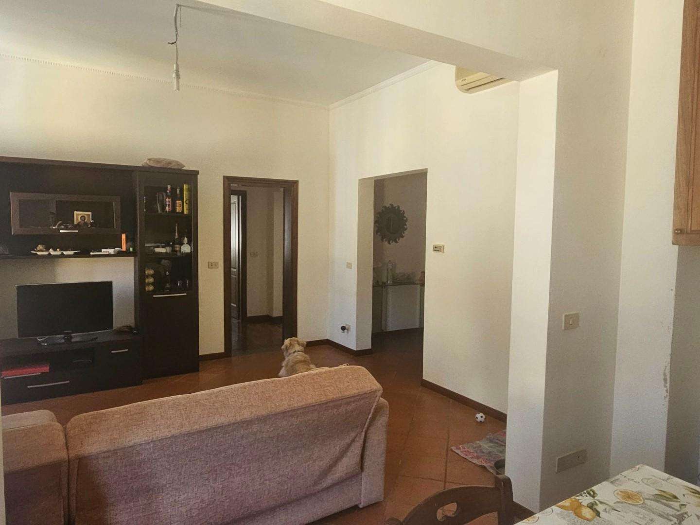  - foto 3
