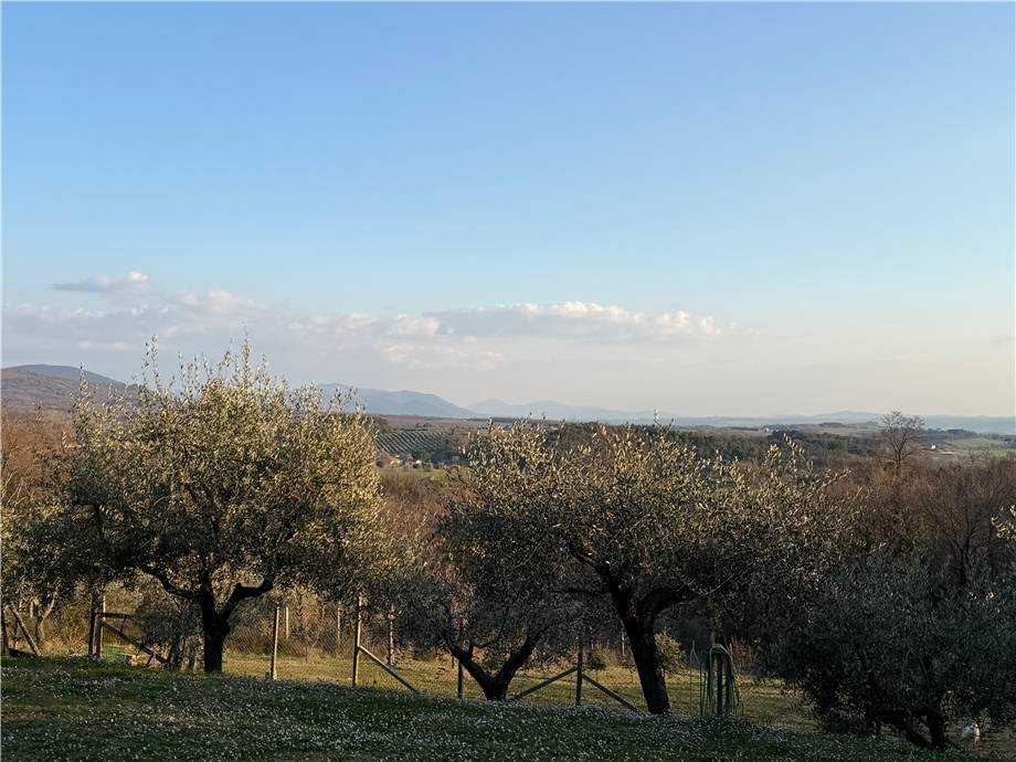 - foto 18