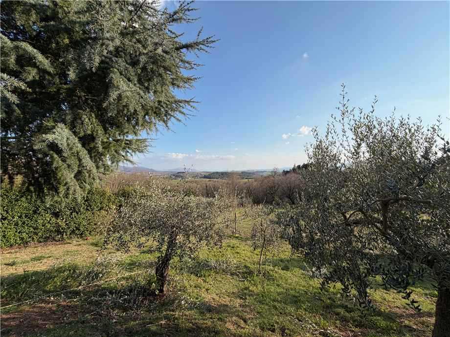  - foto 22
